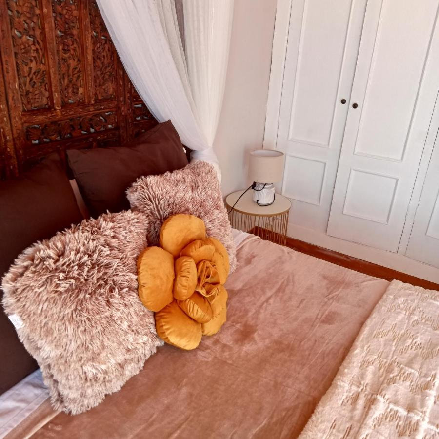 Apartamento En Zona Privilegiada Apartment ซานตาครูซ เด เตเนริเฟ ภายนอก รูปภาพ